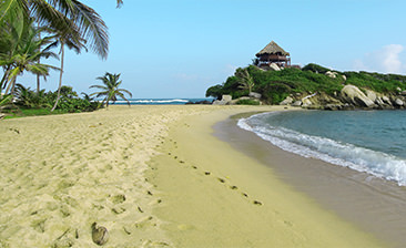 Mexico, Caribbean, Central & South America